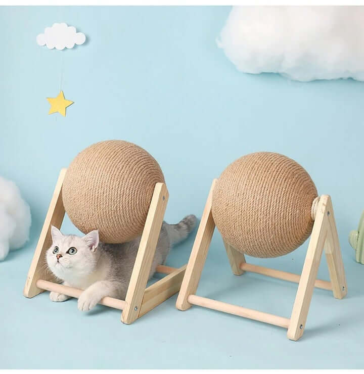 KittyPaw - Kratzball